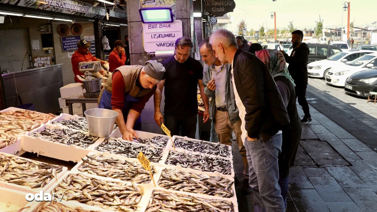 hamside fiyatlar havaya gore UmFmKzhY