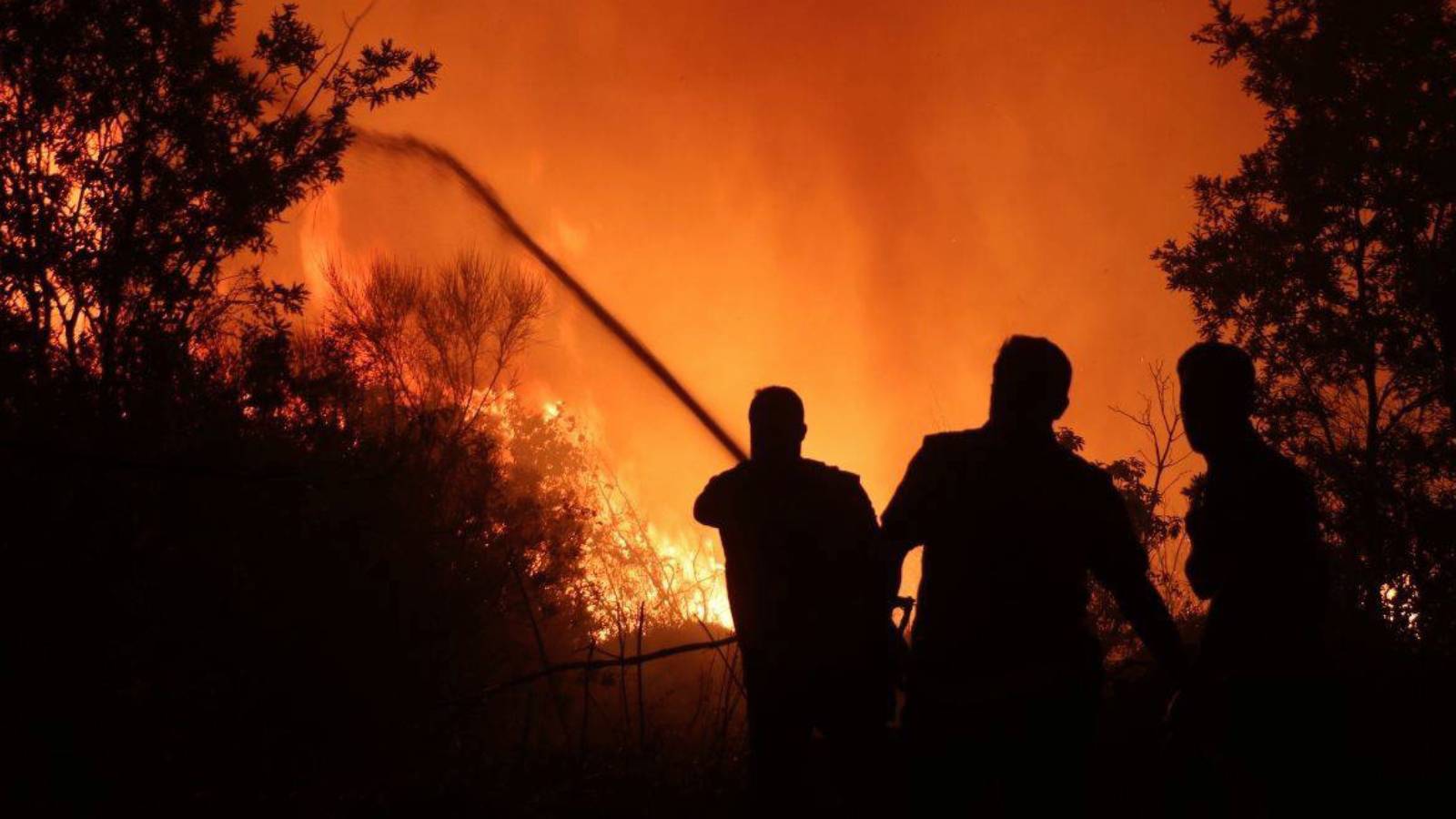 suriye lazkiyede 3 ayri orman yangini JP1EPIH4