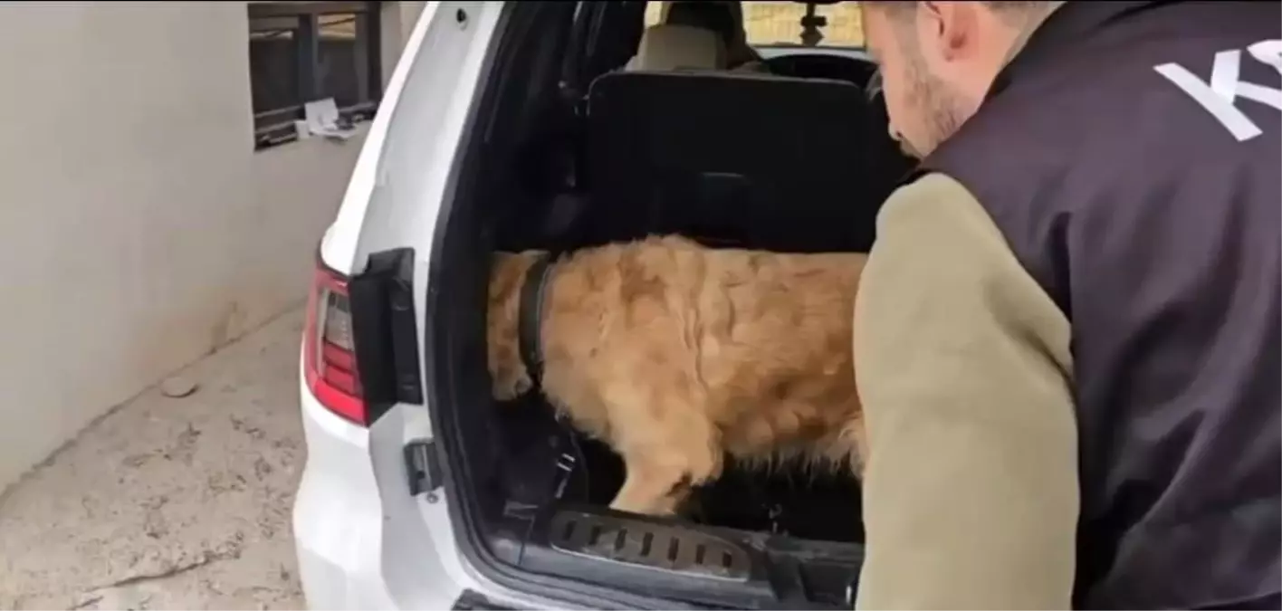 hakkaride sinir kapisinda 60 kilogram metamfetamin ele gecirildi rI2mUABf.jpg