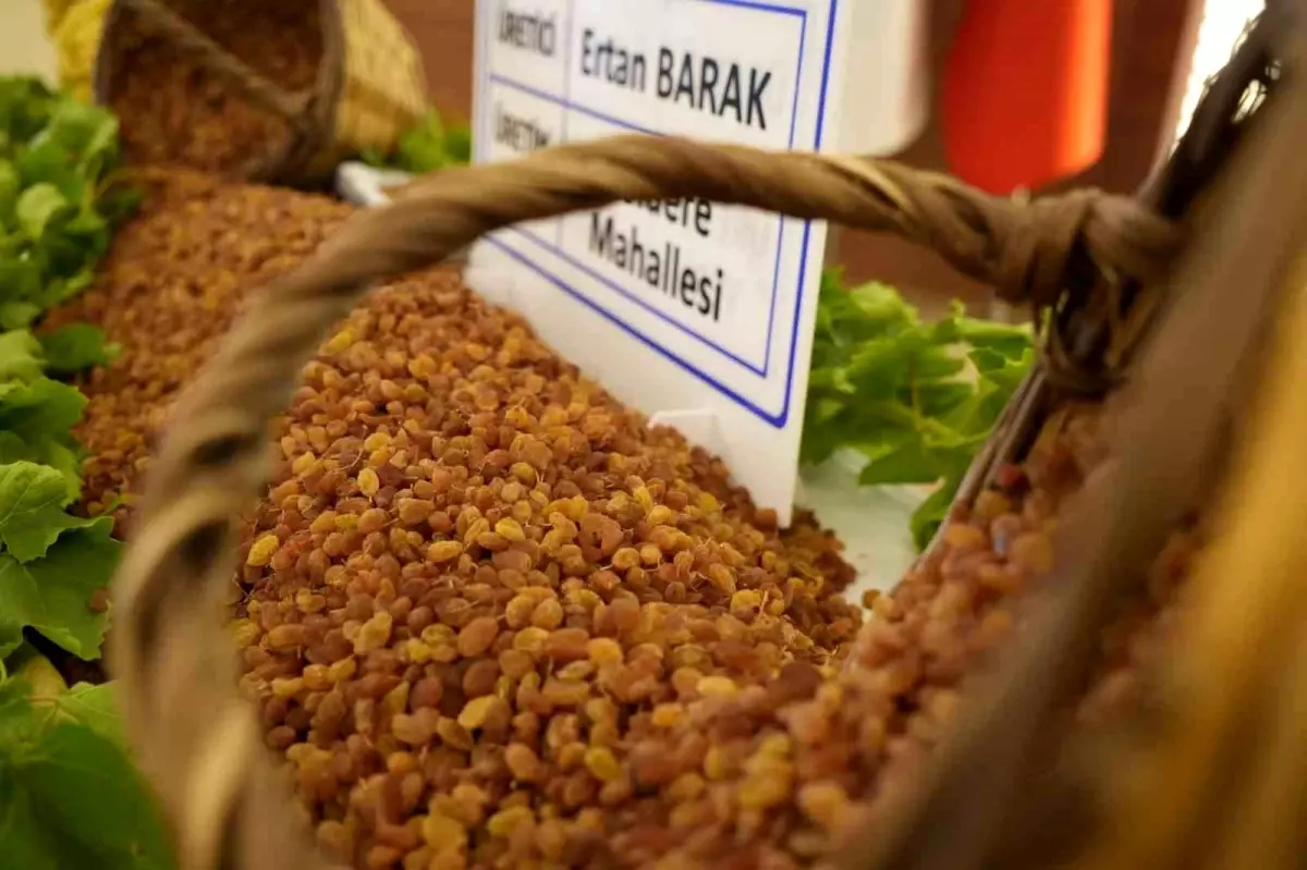 manisanin tarim ihracati yuzde 185 artti VWX4V3aX.jpg