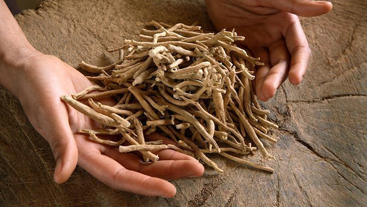 stresi dogal yolla kontrol altina aliyor hint tibbindan tum dunyaya yayilan mucize D9Dexq4w.jpg