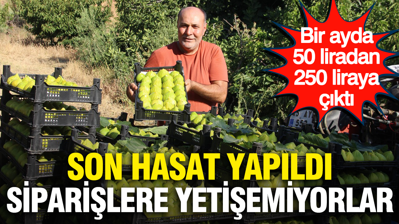 Bir ayda 50 liradan 250 liraya çıktı: Son hasat yapıldı, siparişlere yetişemiyorlar Haber gorseli