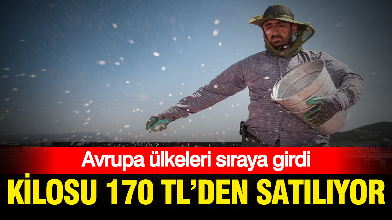 Kilosu 170 TL’den satılıyor: Avrupa ülkeleri sıraya girdi Haber gorseli