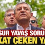 Haber gorseli