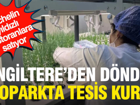 Ingiltereden dondu otoparkta tesis kurdu simdi michelin yildizli restoranlara satiyor nFZvWIin
