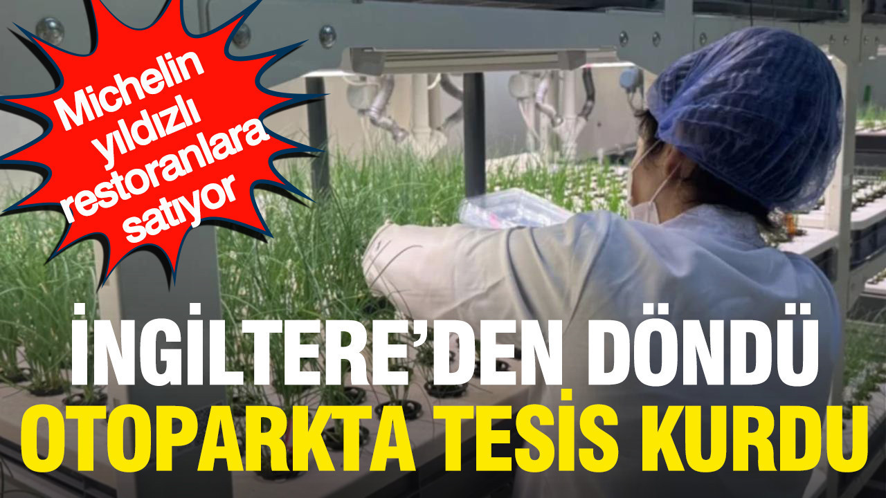 Ingiltereden dondu otoparkta tesis kurdu simdi michelin yildizli restoranlara satiyor nFZvWIin
