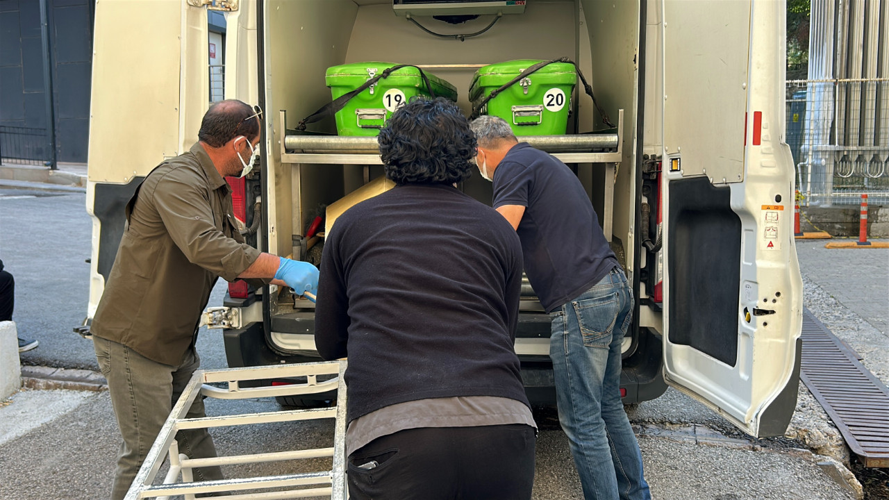 Kene bir can daha aldı: Yaşlı kadın hastanede can verdi Kene bir can daha aldi yasli kadin hastanede can verdi JTHOR8SS